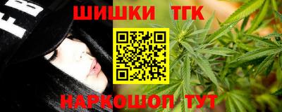 индика Дубна
