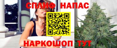 индика Дубна