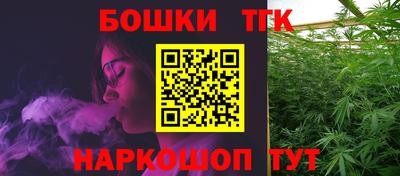 индика Дубна