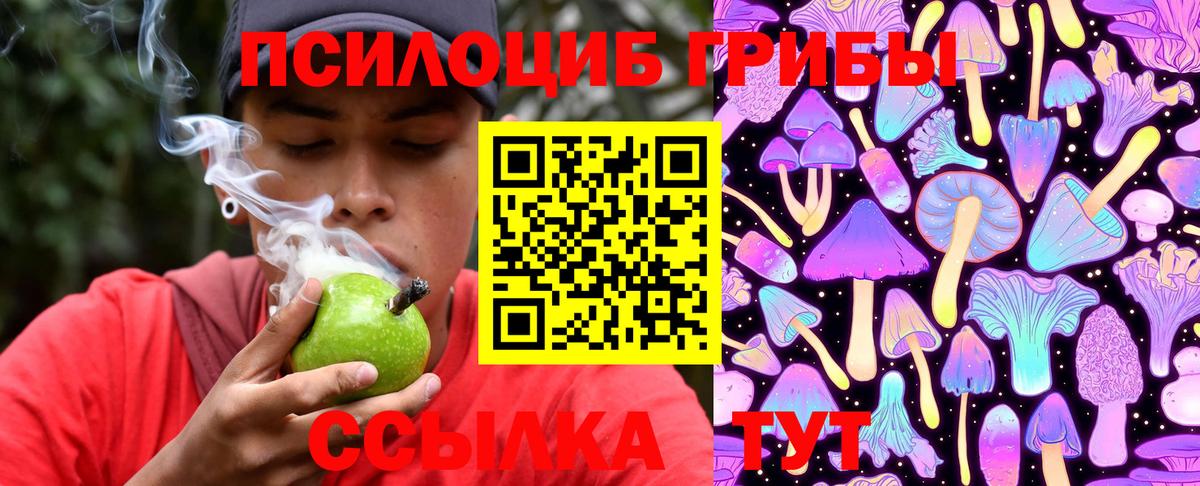 Галлюциногенные грибы MAGIC MUSHROOMS Новосибирск