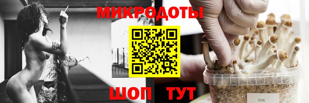 Псилоцибиновые грибы мицелий  Псилоцибиновые грибы ЛСД  Новосибирск  Вход с VPN 